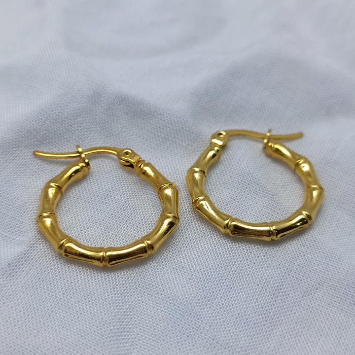 Beautiful daily wear earrings