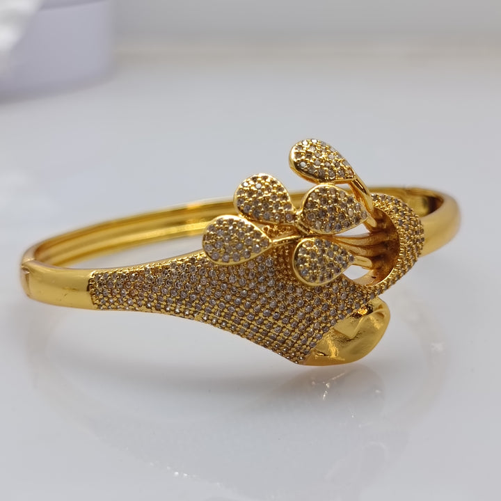 Beautiful daily wear breclete