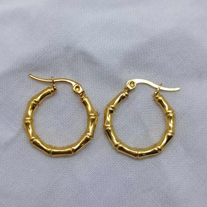 Beautiful daily wear earrings